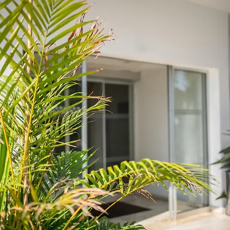 Liquid 4* أيا نابا